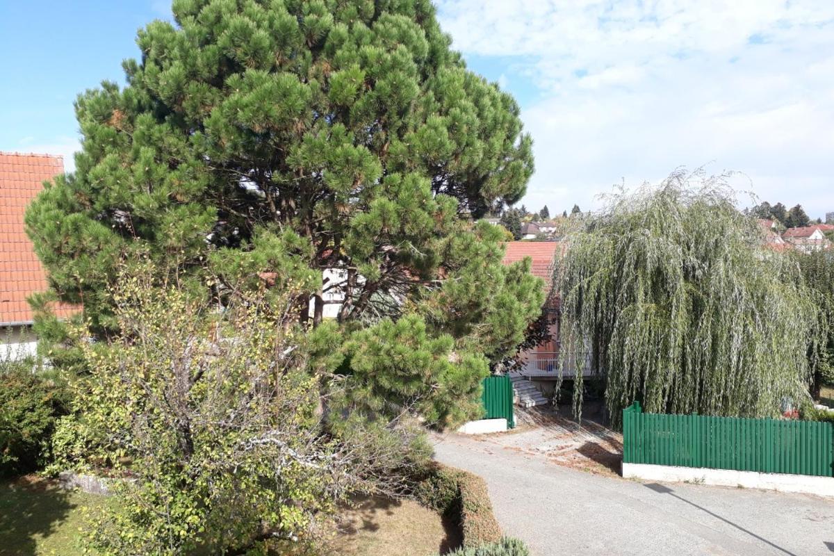 Appartement Independant A Proximite De Belfort Essert Zewnętrze zdjęcie